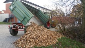 IMG-20171113-WA0003
